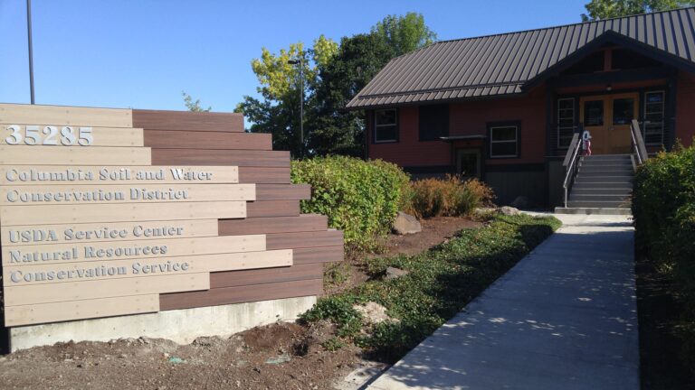 13653262 915058818621590 5225162409505617114 o 768x432