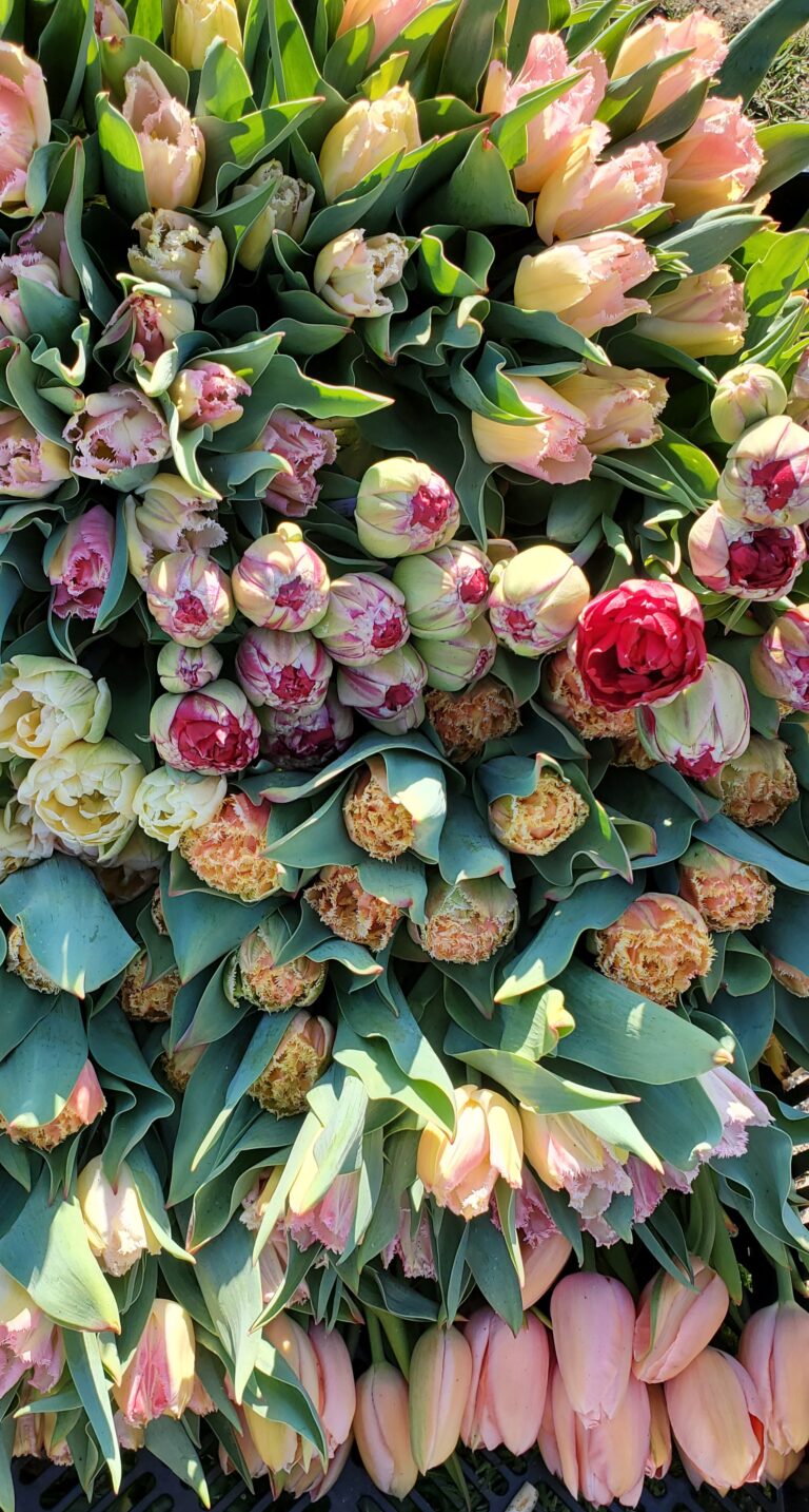 20210417 0913201 768x1433