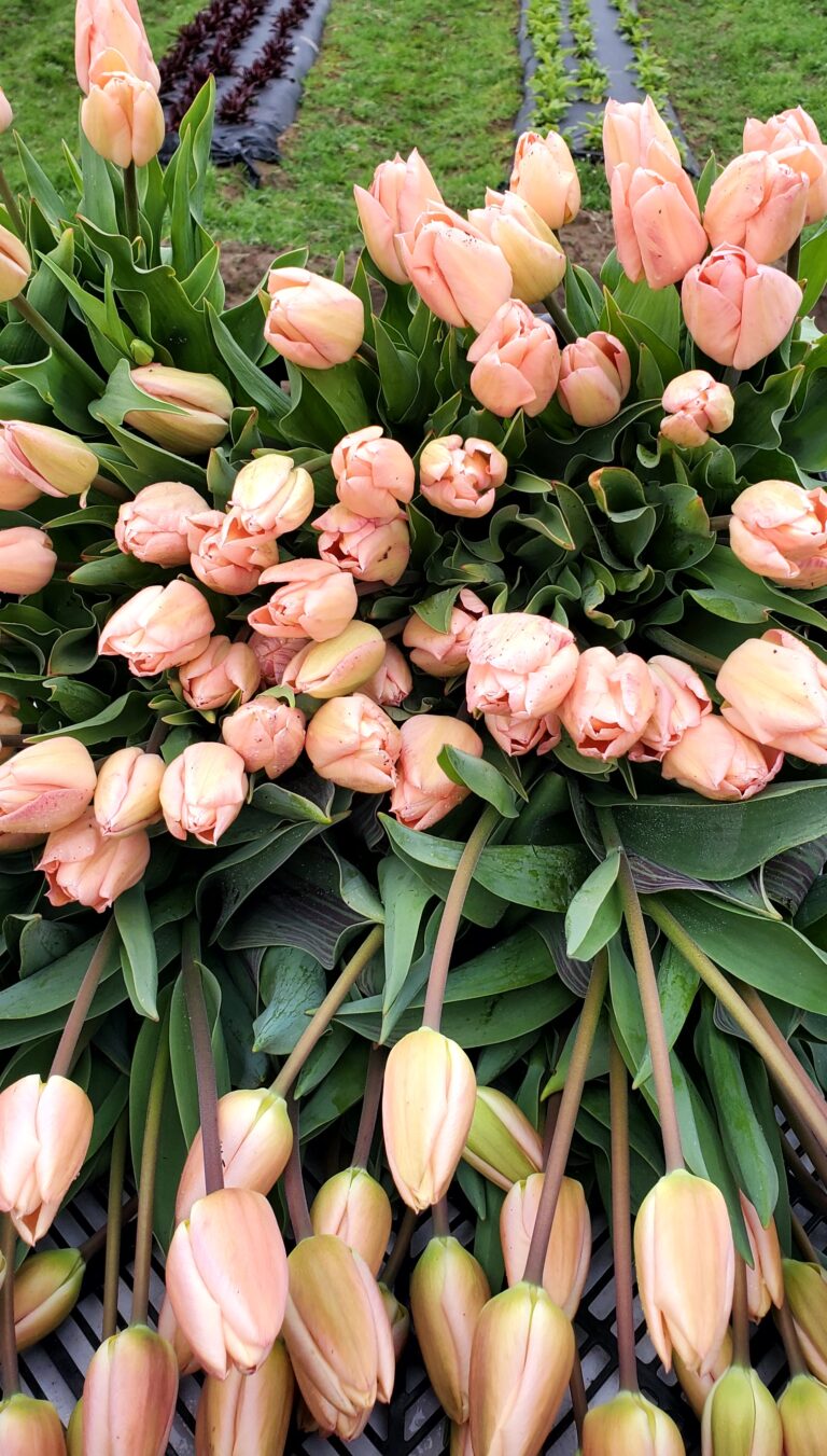 20220323 0857041 768x1351