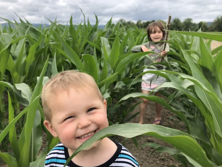 34ffa533 0fb2 4276 8418 3a85cb30208a 768x576