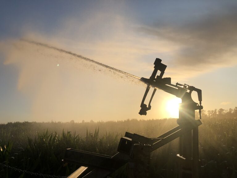 436d5652 30c3 4671 ad09 c7410a30a7e4 768x576