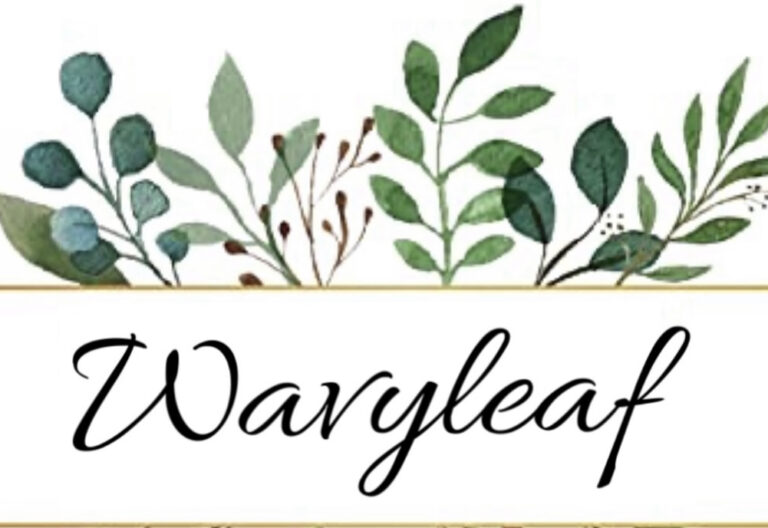 58E56966 CB94 4838 B8B1 EF819A988F93 768x528