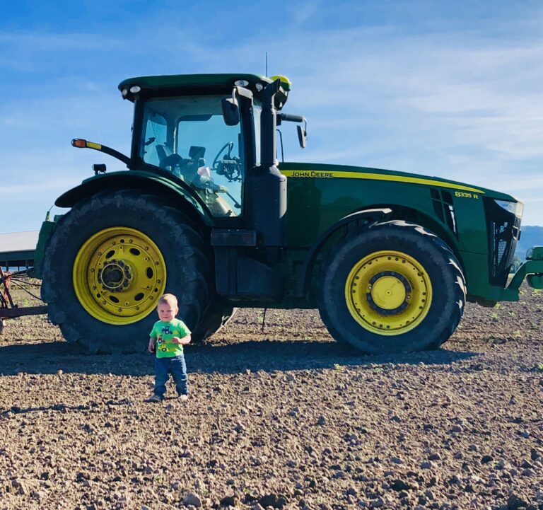 9f99f9d1 5d4d 4f1f aabd f5f17689f162 768x721