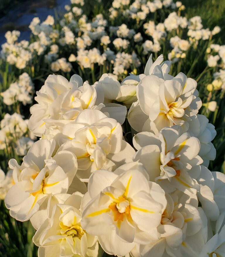 IMG 20200409 190910 4411 768x877