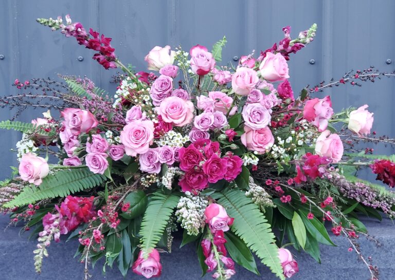 IMG 20230218 104915 1721 768x545