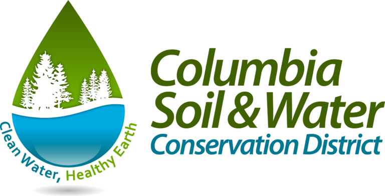 Logo and name 768x391