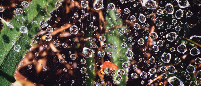 13924981_874668379332428_17741278496721667_n 13924981_874668379332428_17741278496721667_n