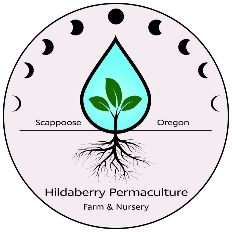 inbound2655865381680921847 768x768