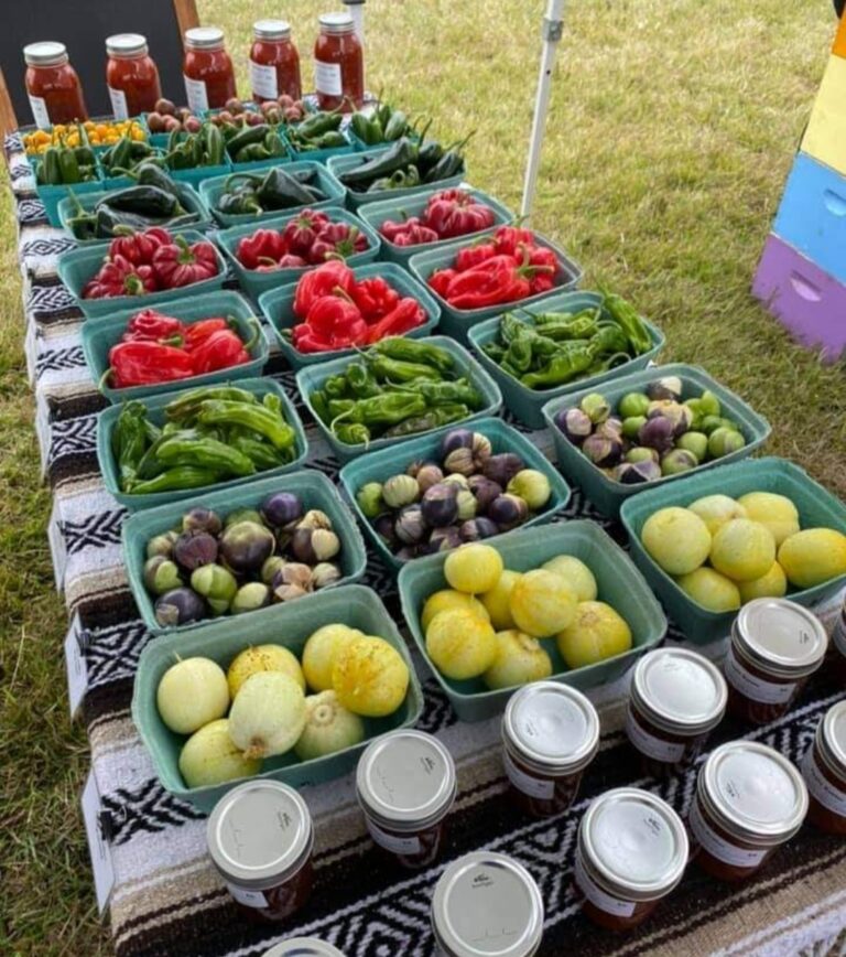 12239417_378939752276501_5856195245231725388_o