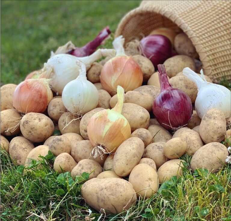 inbound4534561644607806172 768x733