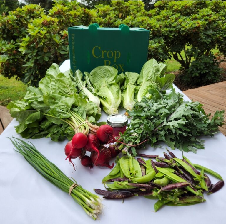 inbound5521364324399678000 768x764