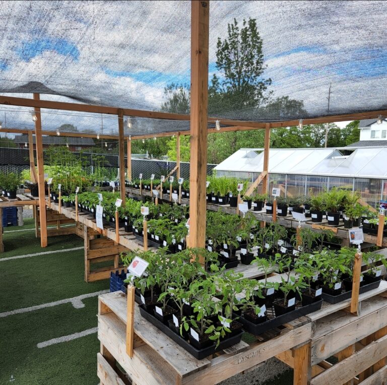 inbound6711267906516395440 768x764