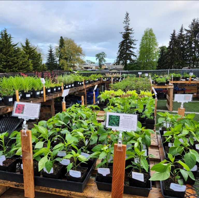 inbound7443908857268017971 768x764