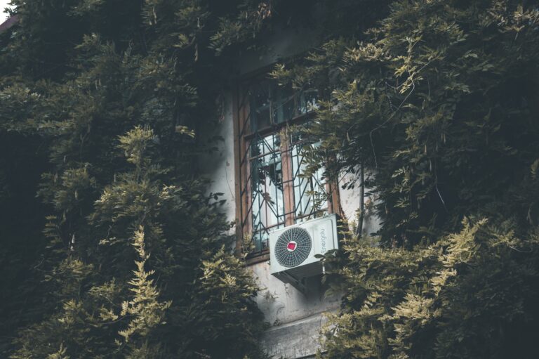 13 768x511