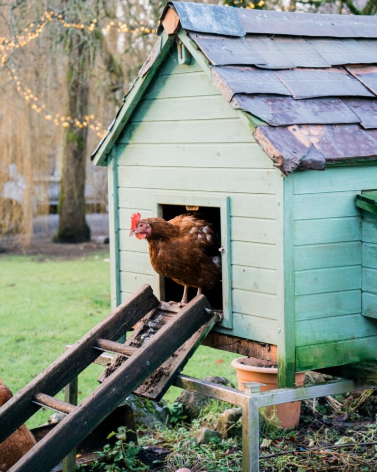 12143177_947601378632930_2315379191898688609_n 12143177_947601378632930_2315379191898688609_n