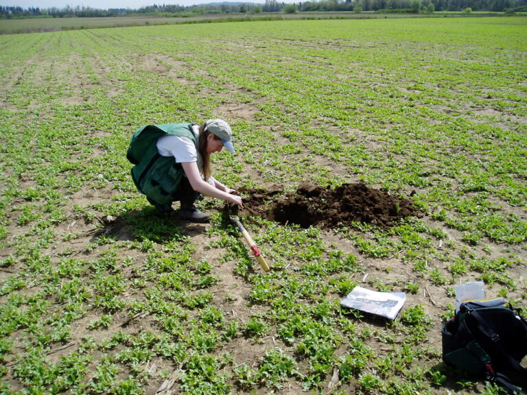 Stacy soils2 768x576