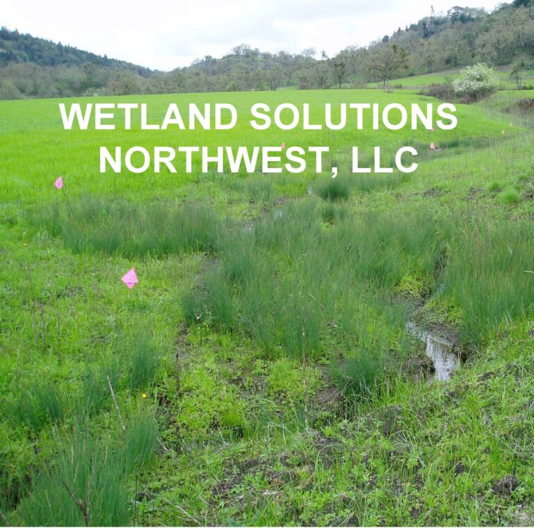 WSNW photo logo crop V2 768x760