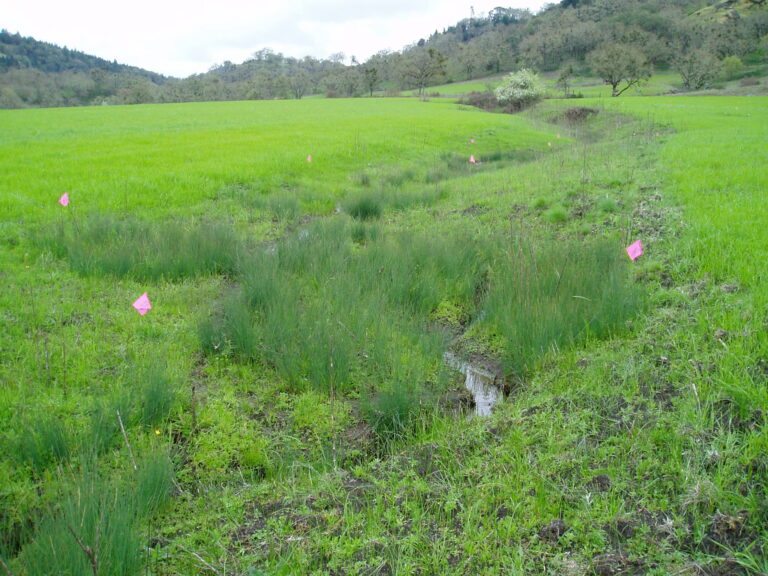 Wilbur industrial flagging 1 768x576