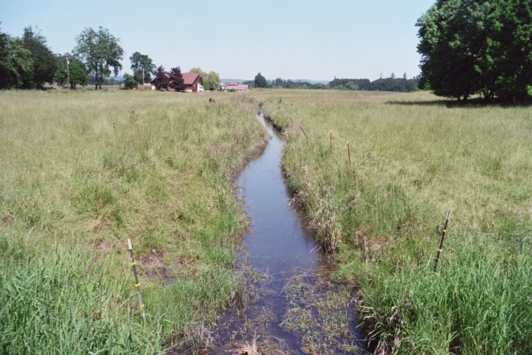 ag ditch2 768x512