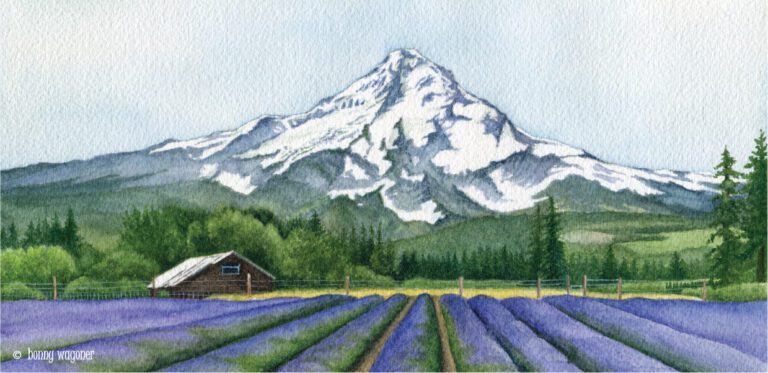 Mt Hood lavender fields