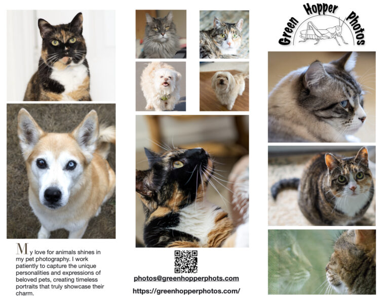 PetflierA.1 1 768x593