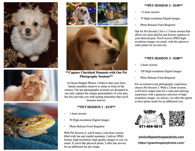 PetflierA.2 1 768x593