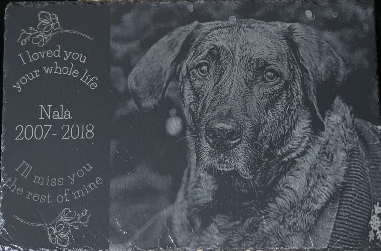 image 50422529 768x506