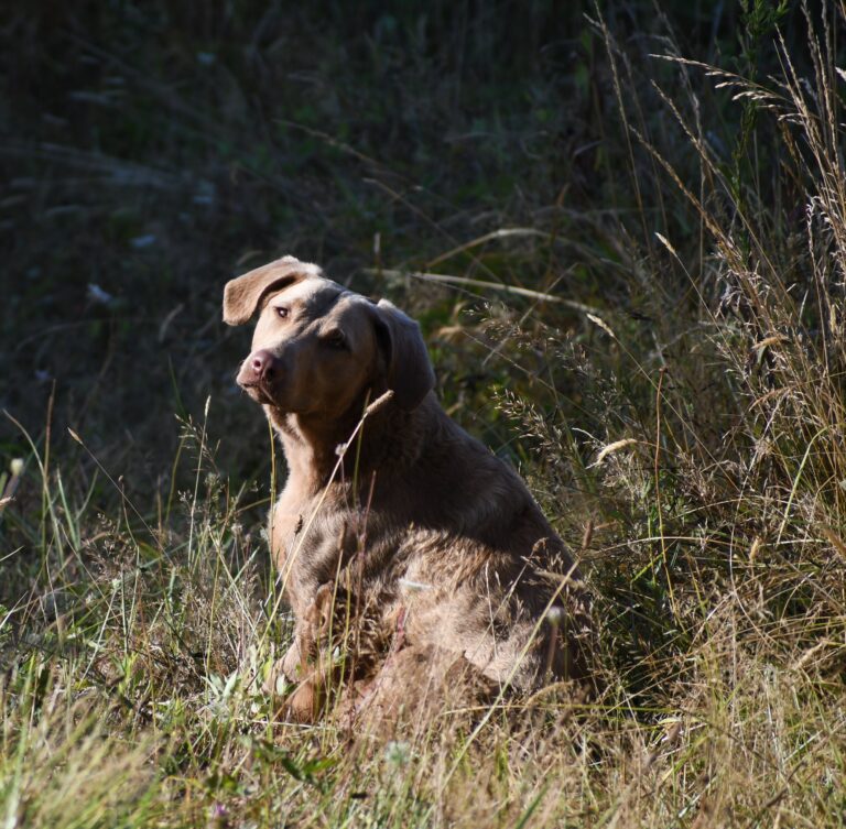 20180819 102259 768x753