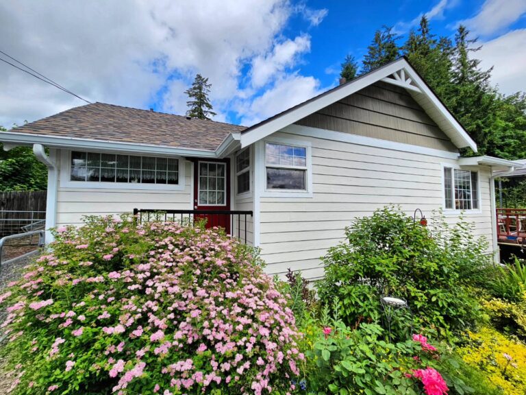 Carolyn Jenkins House Painting Carolyn Jenkins House Painting