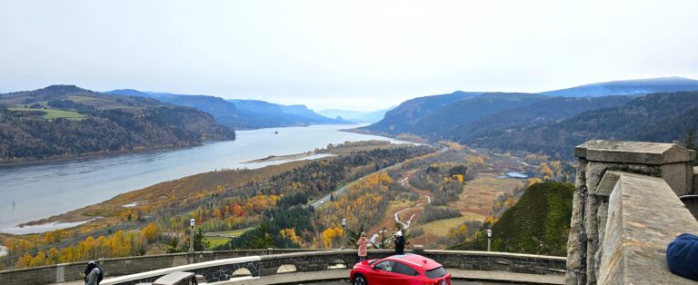 Looking East from the Observation Deck 768x314