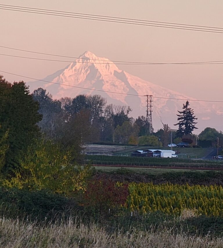 Mt Hood from back deck 768x854