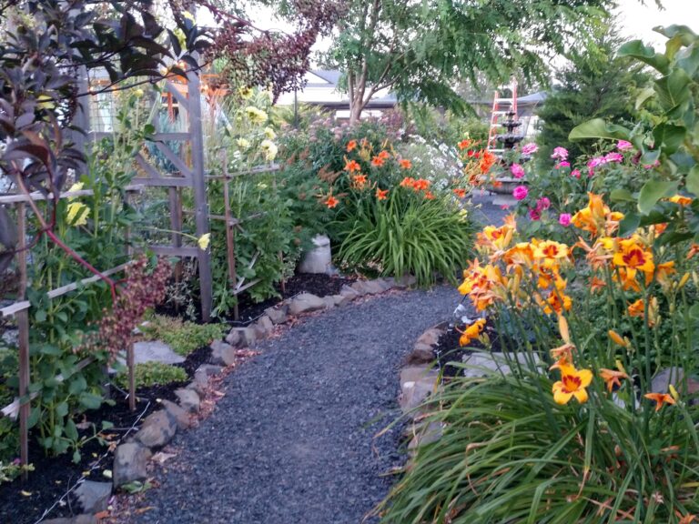 IMG 20230716 210054940 HDR 768x576