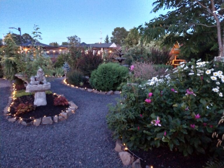 IMG 20230716 212428405 HDR 768x576