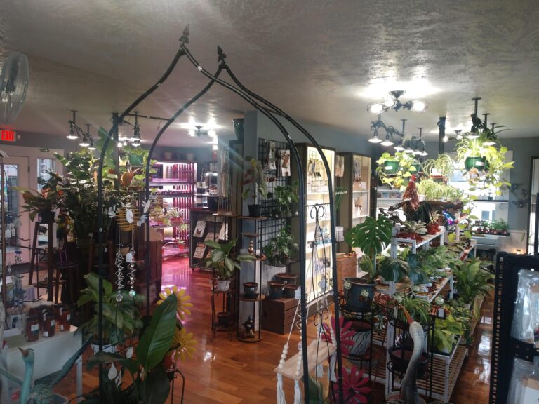 IMG 20250221 102805979 768x576